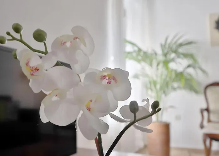 Apartment La Juderia I