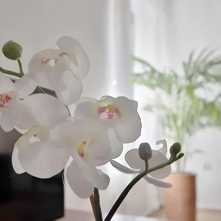 Appartement La Juderia I